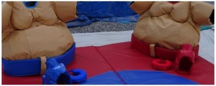 Jeux de Sumo